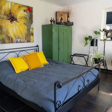 De Parel B&B Breezand Exterior photo