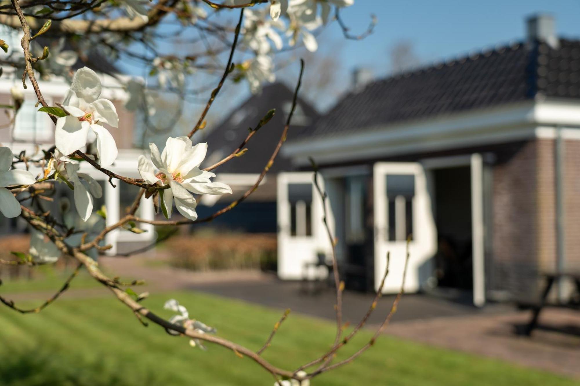 De Parel Bed & Breakfast Breezand
